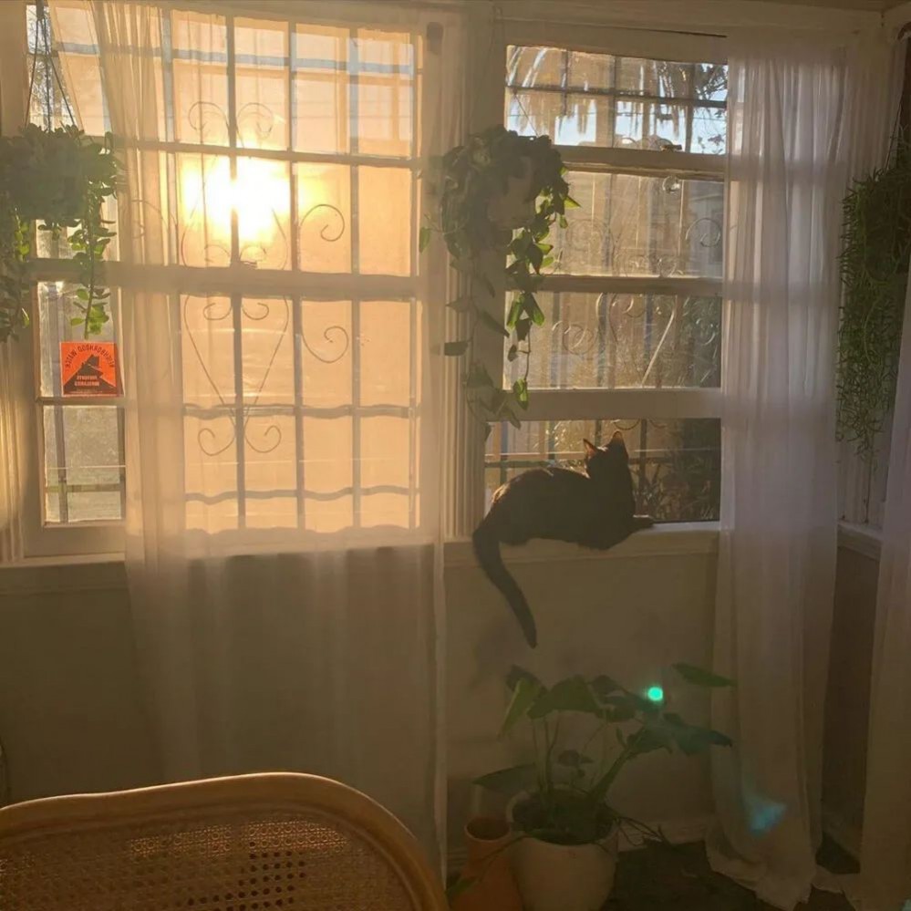 1672279951231505.jpg 1672279951231505.jpg